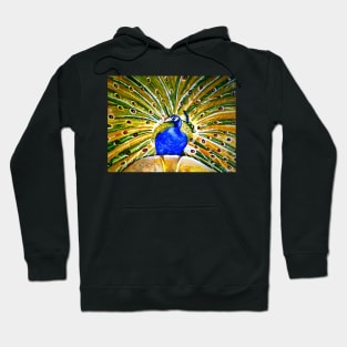 Peacock Hoodie